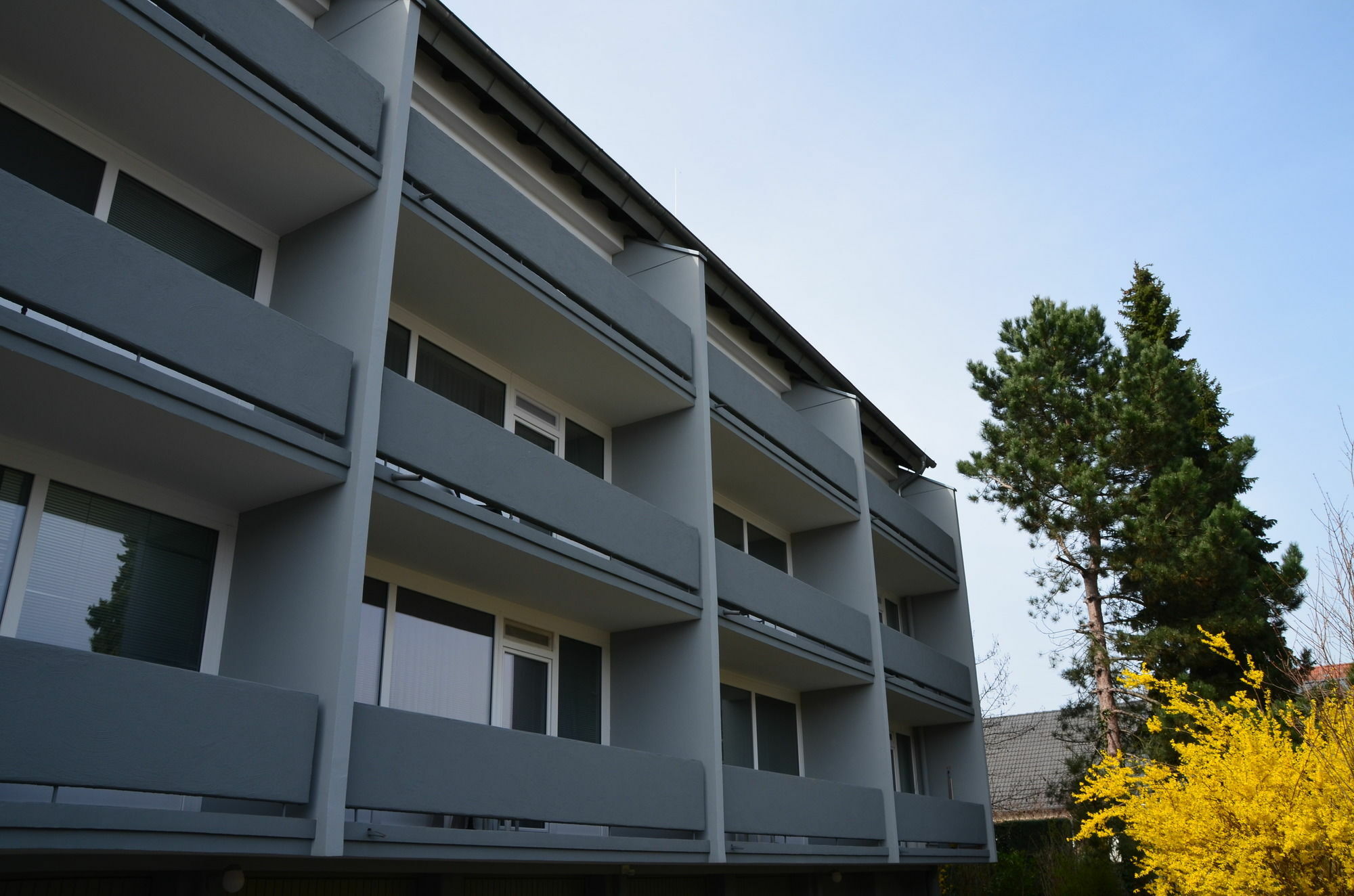 Neu Heidelberg - Guesthouse & Apartments Exteriör bild