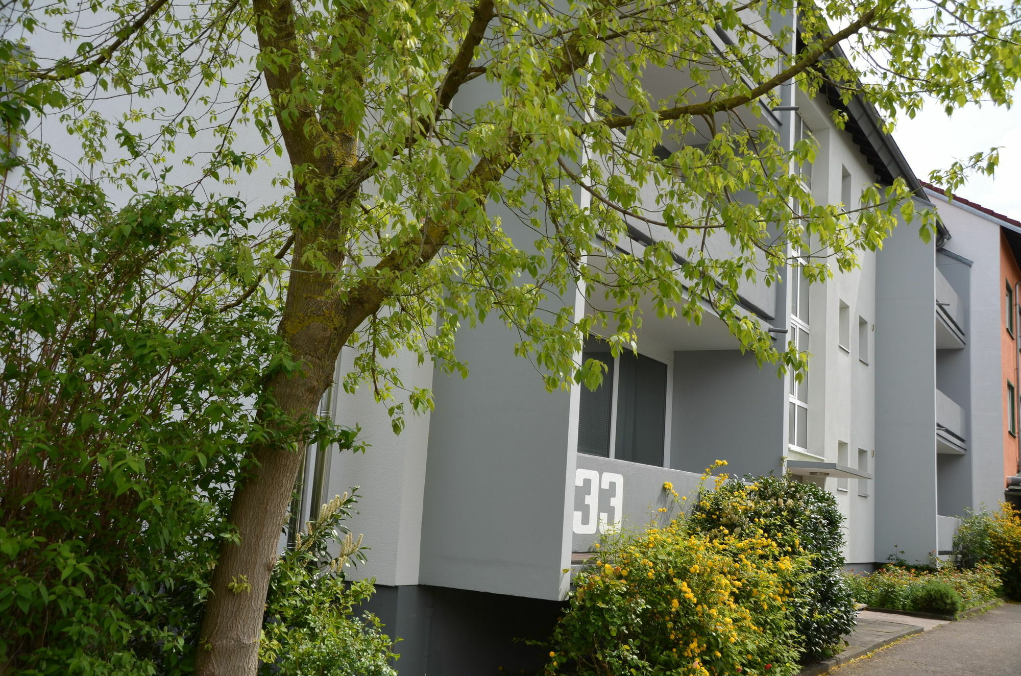 Neu Heidelberg - Guesthouse & Apartments Exteriör bild
